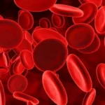 ako-zvysit-hladinu-zeleza-v-krvi-uzitocne-tipy.webp.webp
