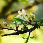 dovolenka-dnes-22-maja-co-nerobit-a-ludove-znamenia.webp.webp