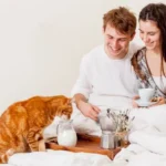 tento-zvyk-macky-pri-jedle-moze-byt-nebezpecny-veterinar-vysvetluje.webp.webp
